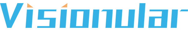 Visionular Logo